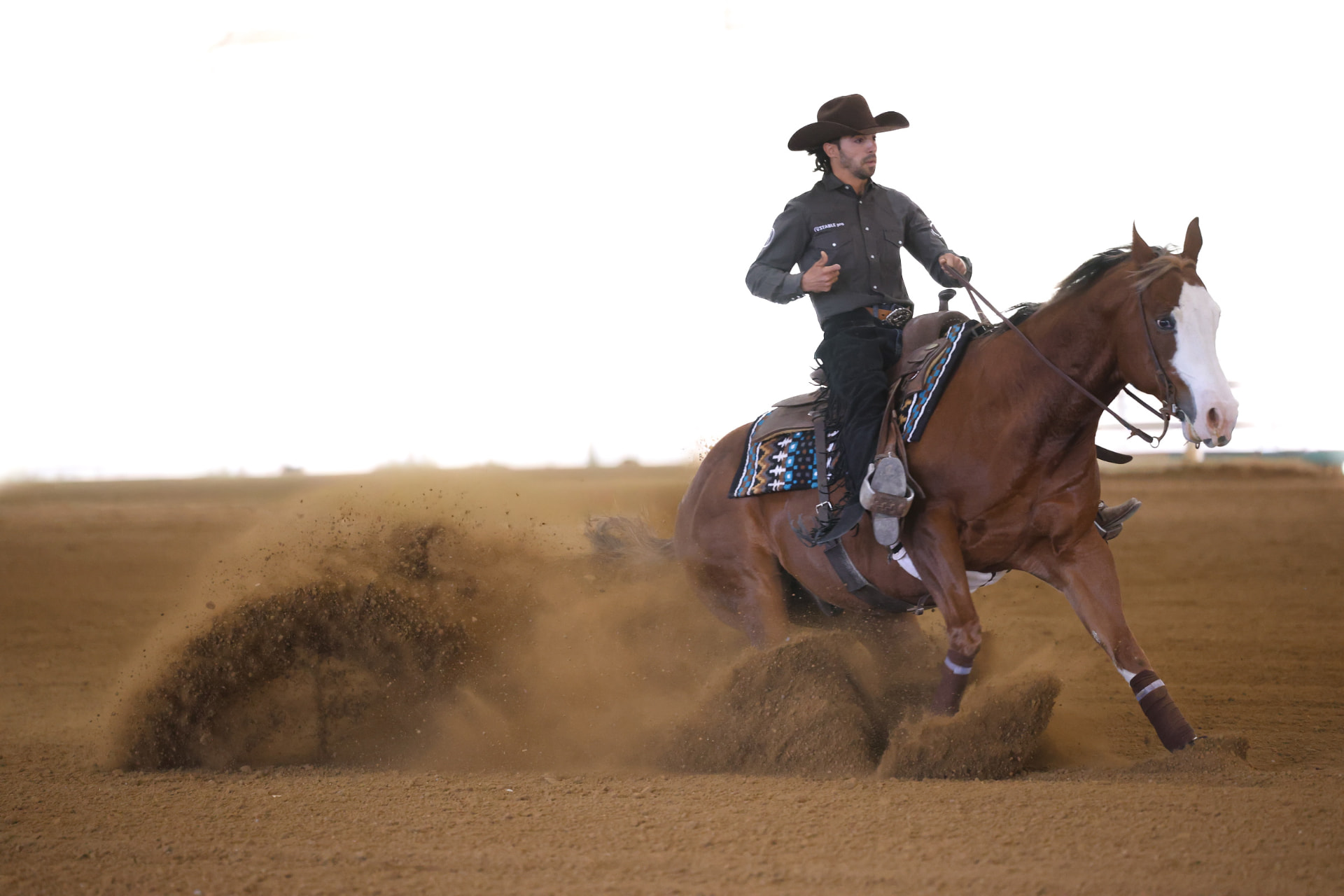 Santiago De Aragon of Aragon Performance Horses