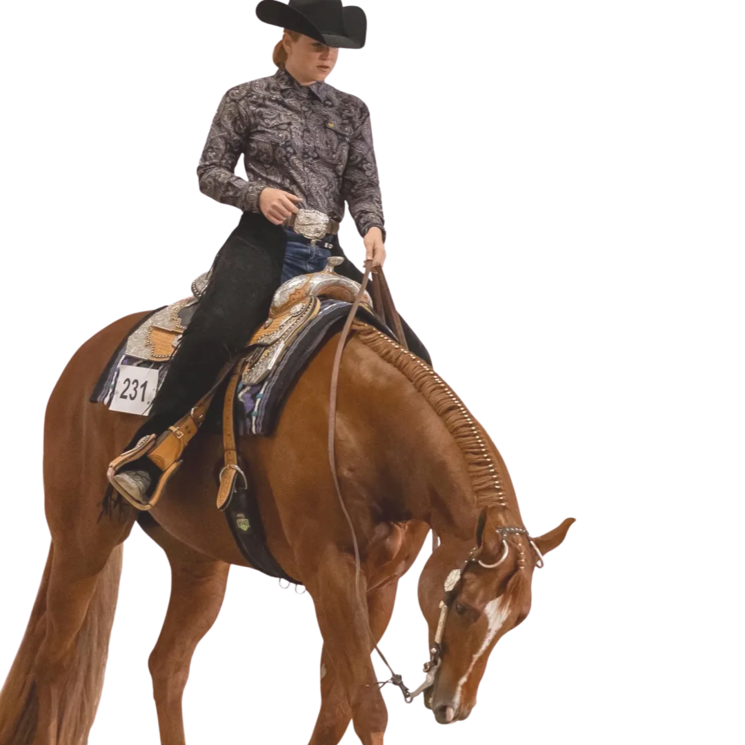 Whitney Romanoff